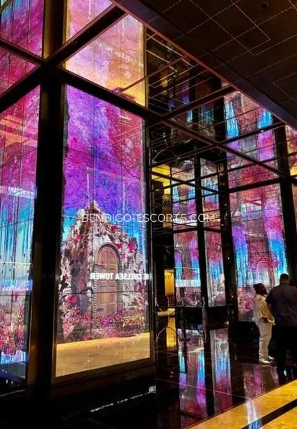 Bendigo escorts Piedad — 4